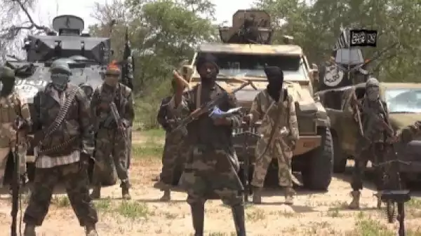 Boko Haram Group Kidnaps 22 Girls And Women, Kill One In North-East Nigeria